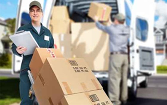 Removal Services Pulborough: Move Relocations